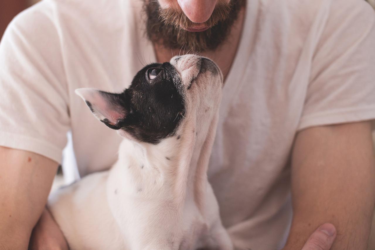 proprietario di cani