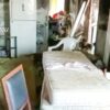 50enne con 30 cani in una casa sommersa dai rifiuti