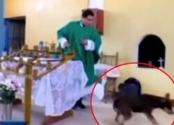 Prete prende a calci un cane durante la Messa