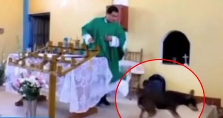 Prete prende a calci un cane durante la Messa