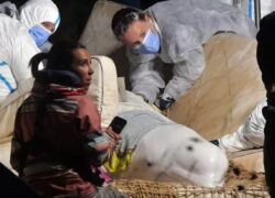Morto il beluga intrappolato nella Senna