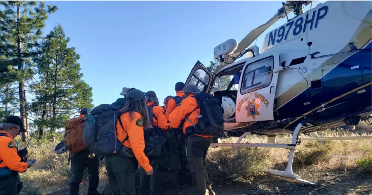 Cane guida i soccorritori dal proprietario, caduto da una scogliera in una foresta