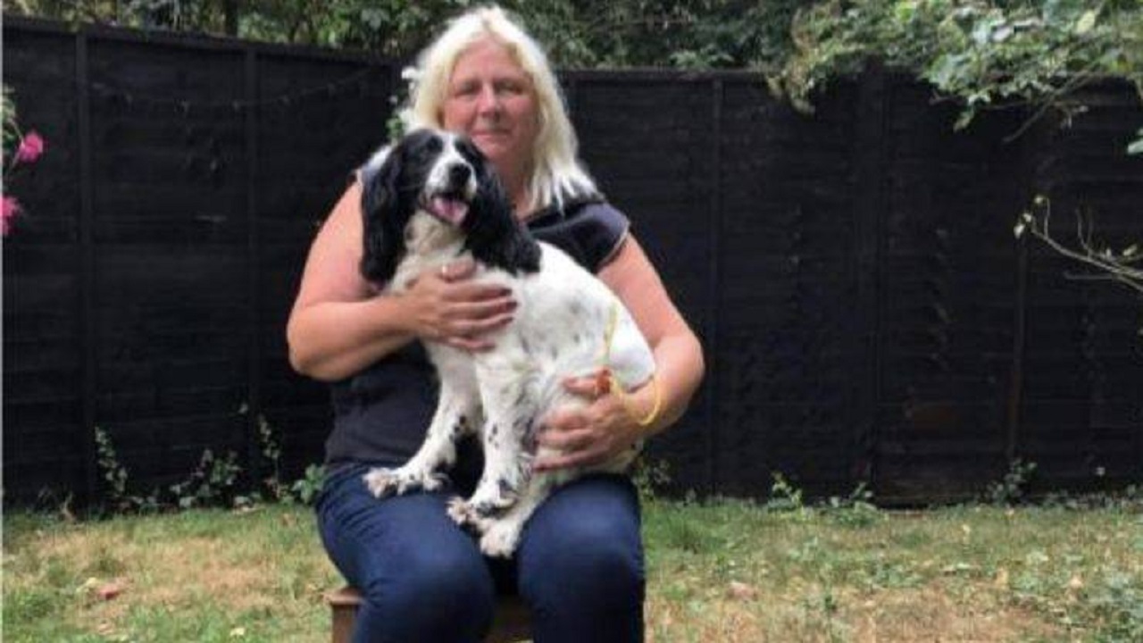 Cane rapito ritorna dal proprietario dopo 7 anni