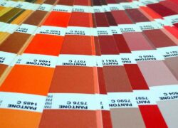 lenzuola Pantone