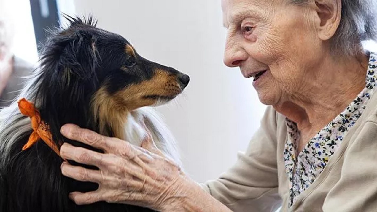 L’ultimo abbraccio tra nonna Amelia e il suo cane Totò