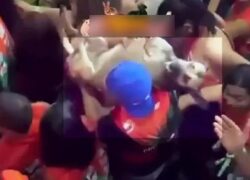 Uomo salva cane ferito portandolo in spalla
