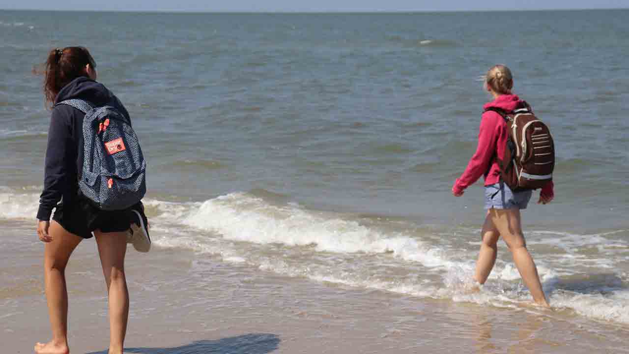 Zaino termico, i migliori per i pranzi al mare