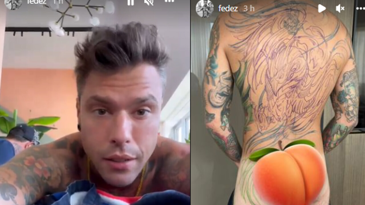 fedez