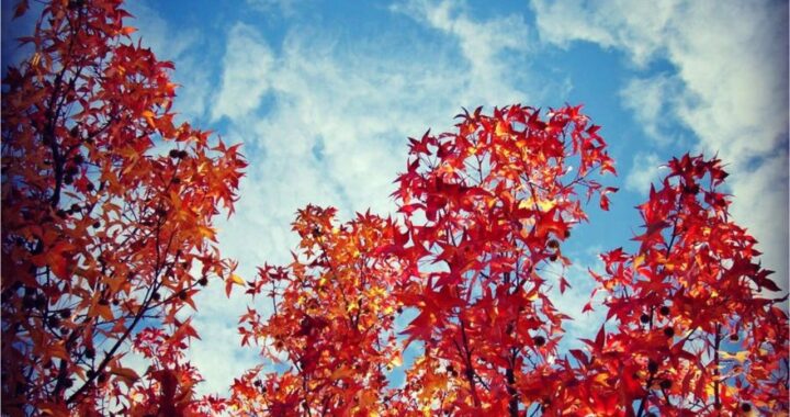 Equinozio d'autunno