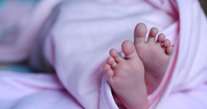 neonato