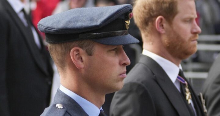 William e Harry