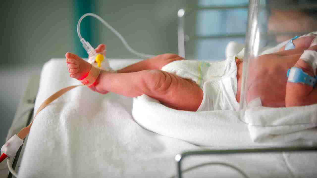 batterio neonata