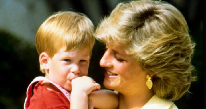 Lady Diana e Harry