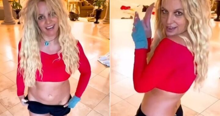 Britney Spears malattia nervi