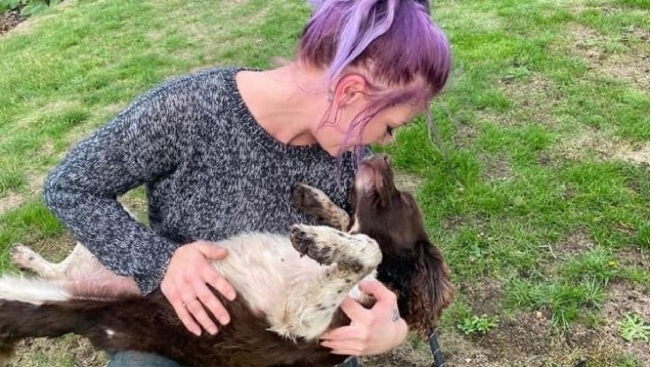 Seppellisce cane giardino torna dopo due giorni