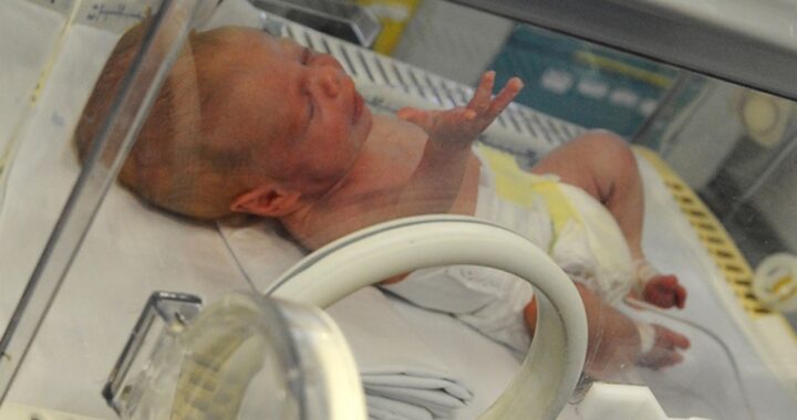 neonato genitori