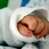 neonato