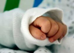 neonato