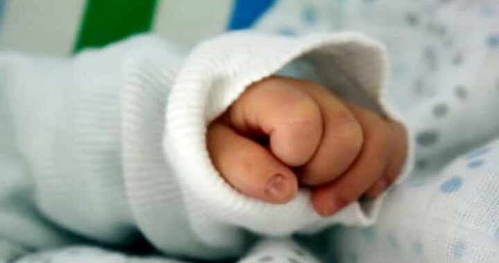 neonato