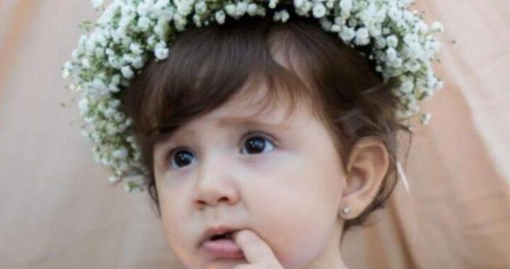 papà ludovica