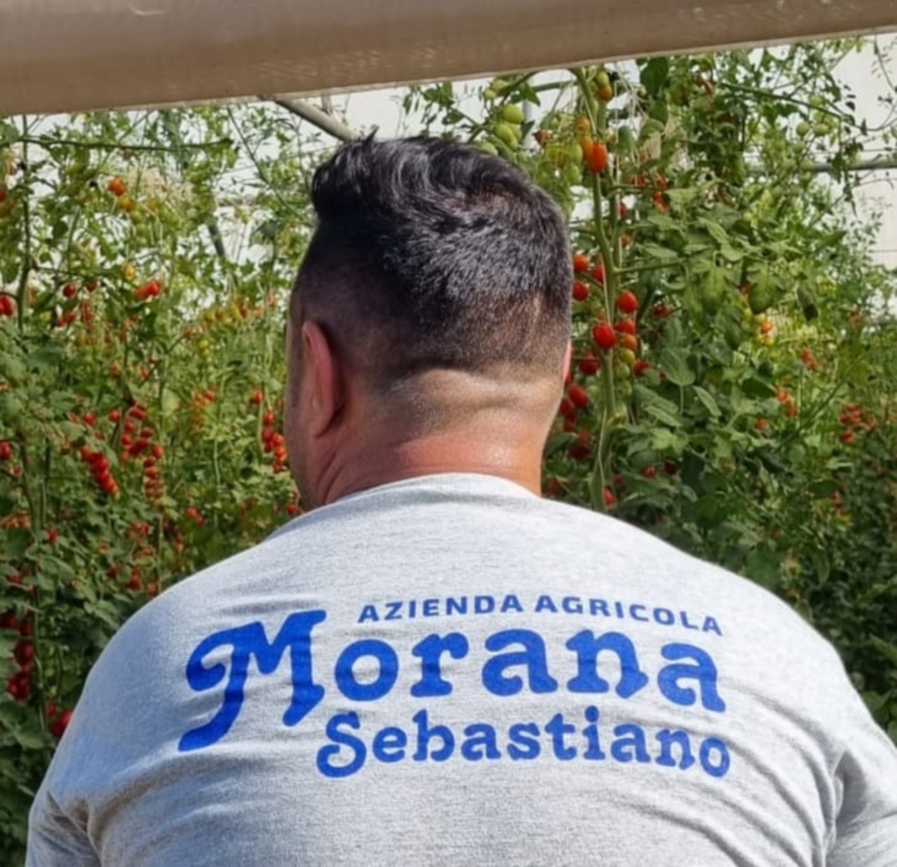 Tragedia Sebastiano Morana