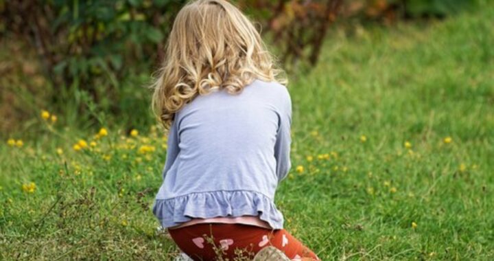 Eroe salva bambina di 3 anni al parco di Monza