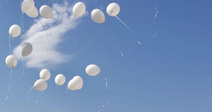 addio alla piccola Ludovica