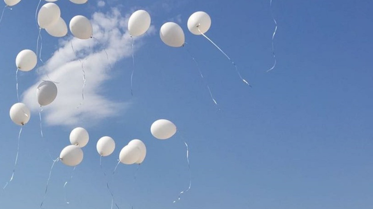 addio alla piccola Ludovica