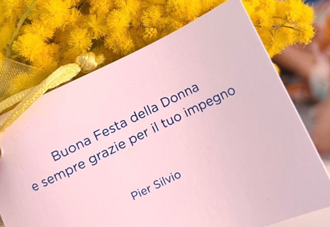 Pier Silvio Berlusconi mimose