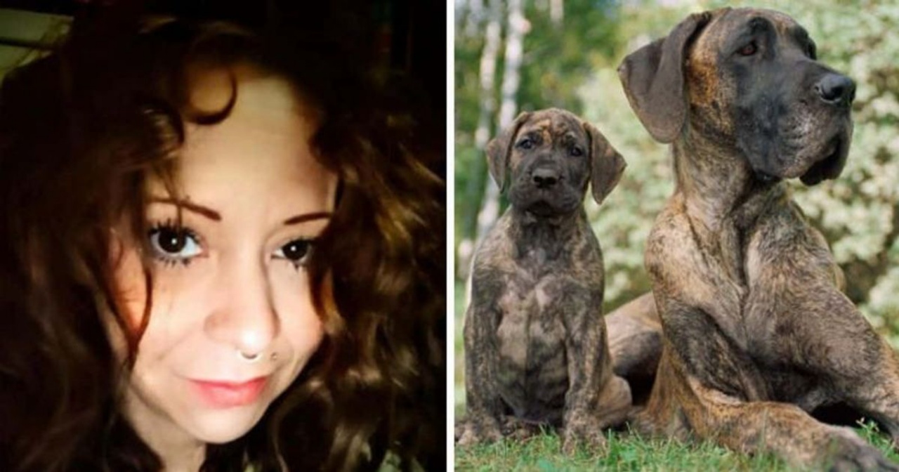 cani kristin