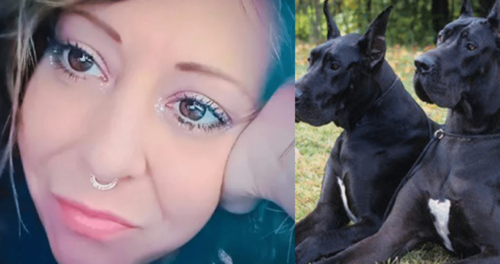 cani kristin