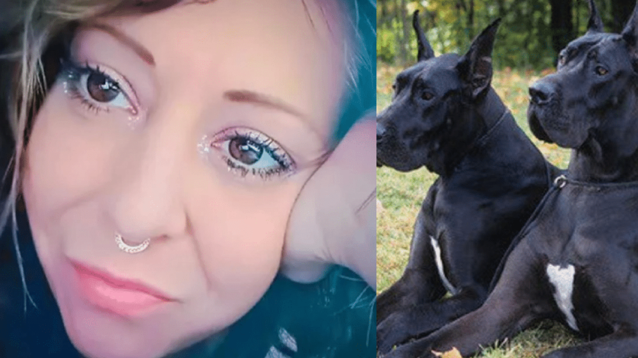 cani kristin