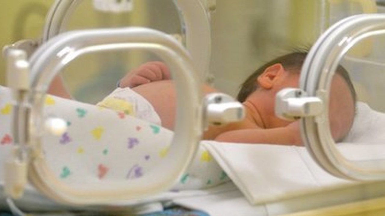 neonata cesareo