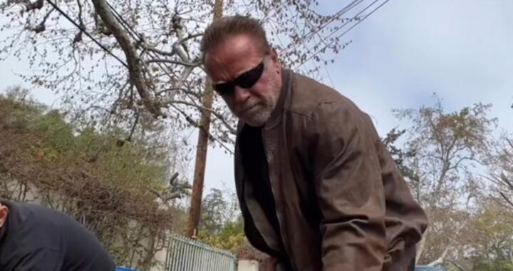 video buca Arnold Schwarzenegger