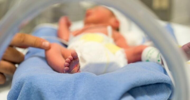 neonato abbandonato