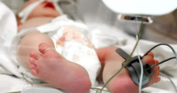 neonato dimesso