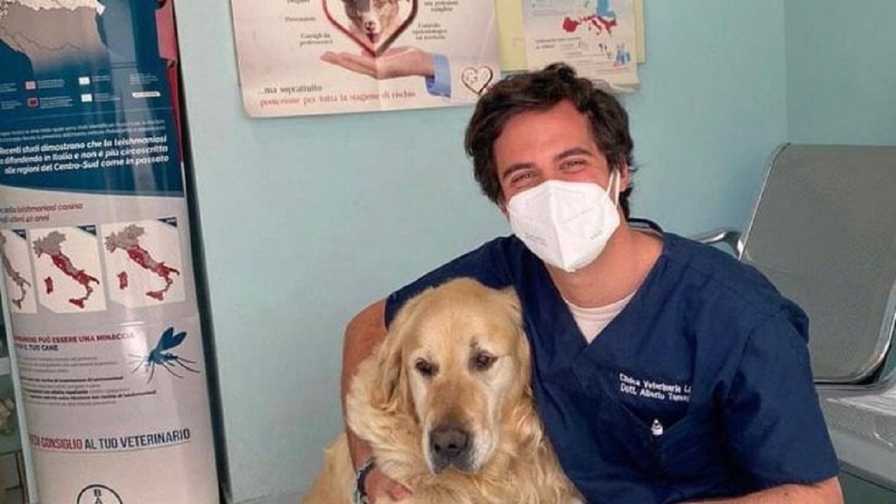 Alberto Tomagnone veterinario