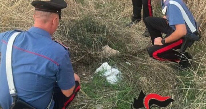 Neonato abbandonato nelle campagne di Paceco