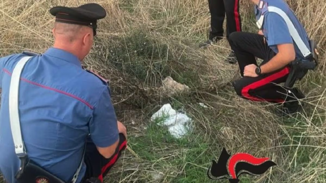 Neonato abbandonato nelle campagne di Paceco