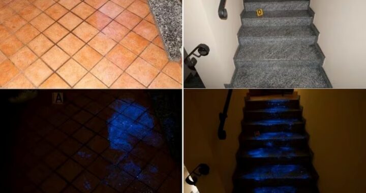 Luminol casa Alessandro Impagnatiello