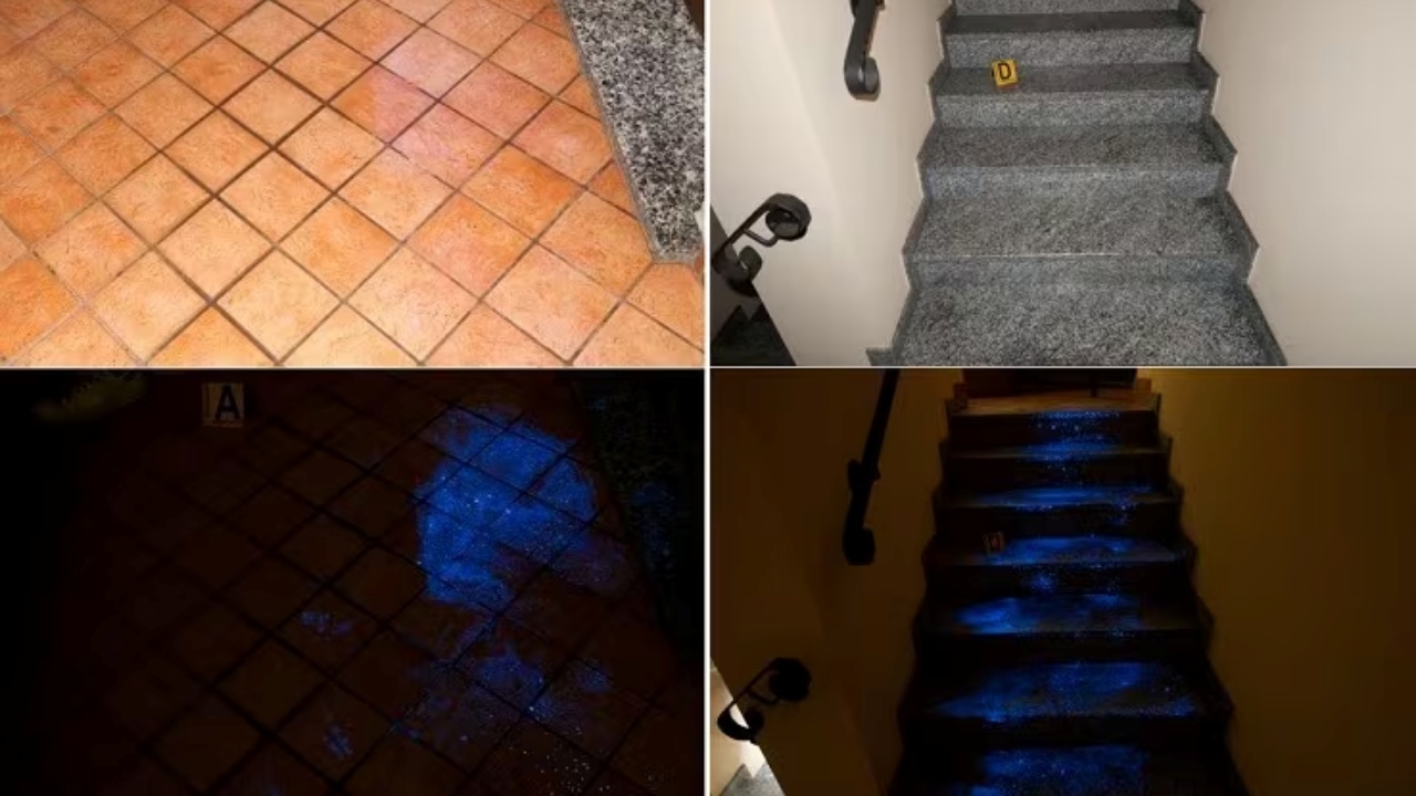 Luminol casa Alessandro Impagnatiello
