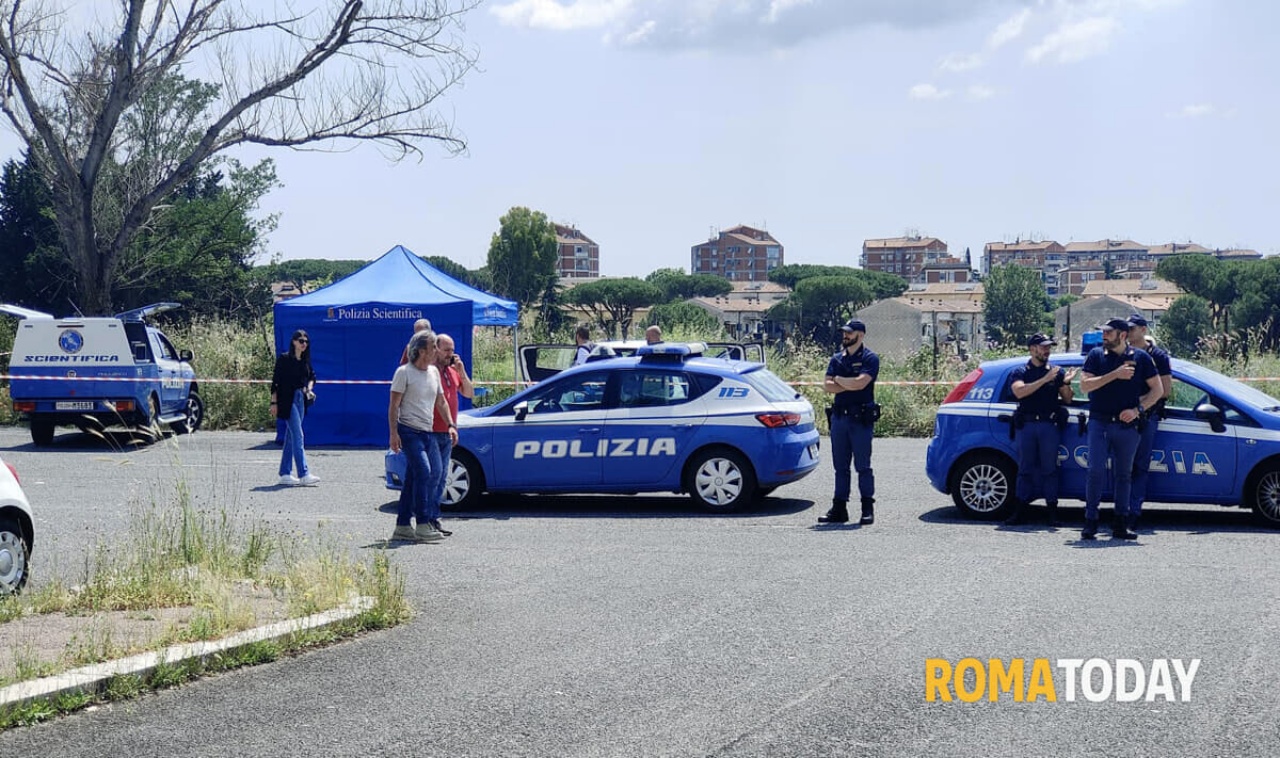 Pierpaola Romano killed