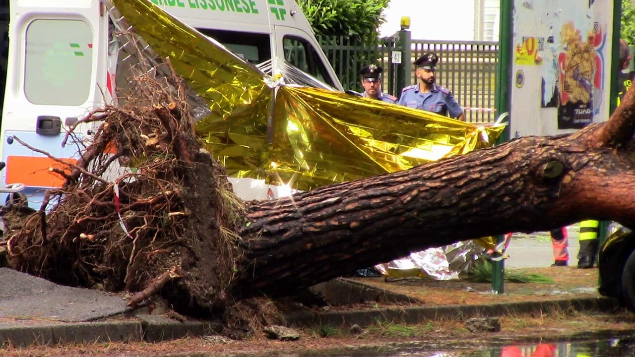 Albero cade su una donna di 58 anni a Lissone