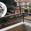 carta stagnola balcone