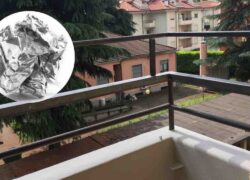 carta stagnola balcone