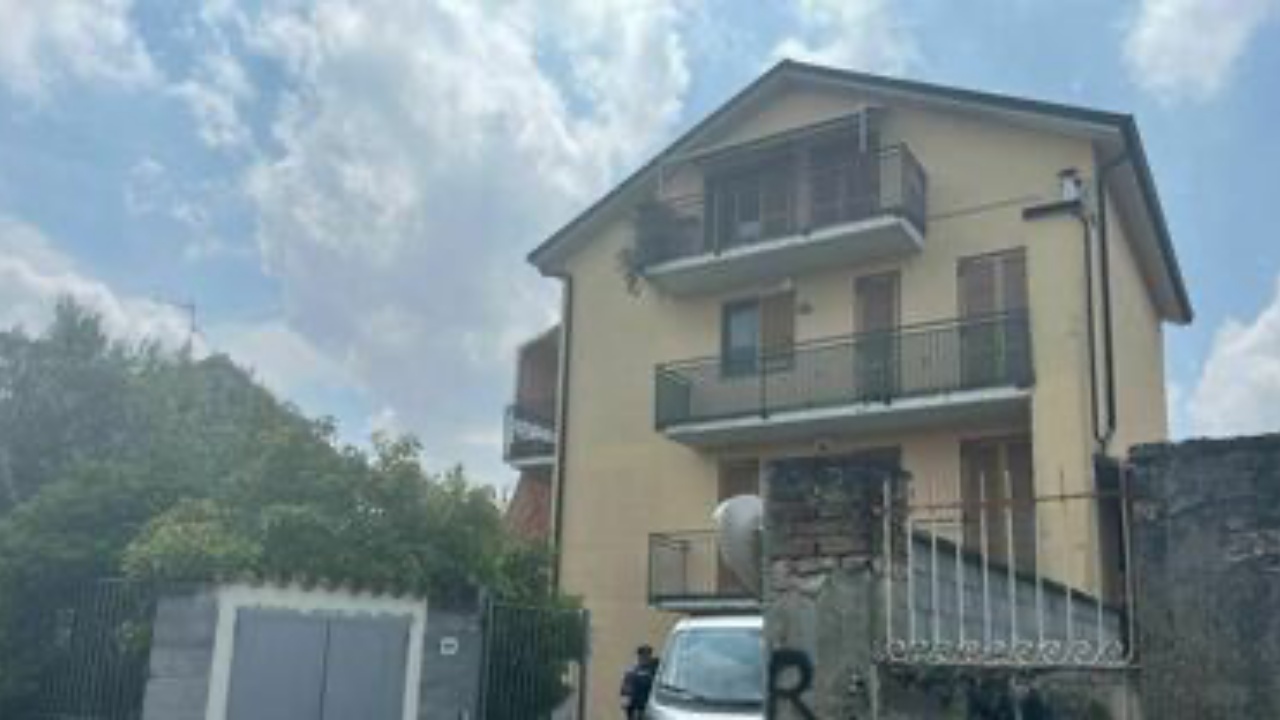 condizioni elisa