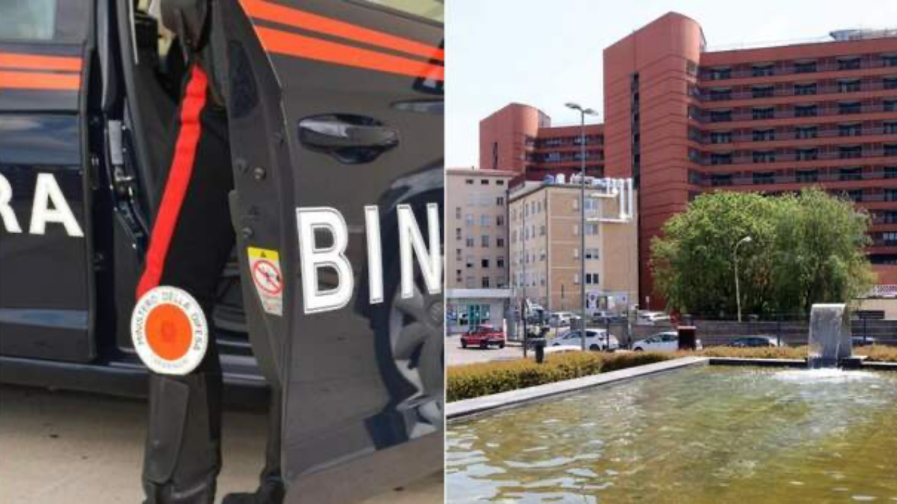 elisa bimbo