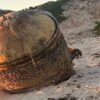 oggetto cilindrico spiaggia Australia