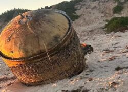 oggetto cilindrico spiaggia Australia
