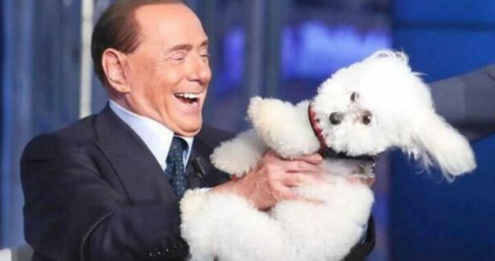 Dudu Silvio Berlusconi